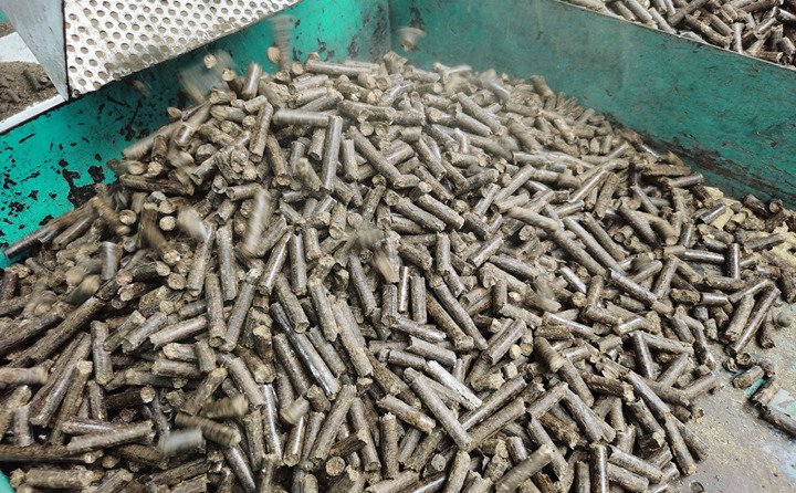 鋸末顆粒機(jī)顆粒 鋸末顆粒機(jī)顆粒