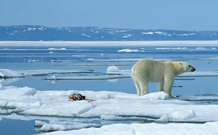 今年夏天阿爾卑斯山創(chuàng)紀錄的高溫導致瑞士冰川大面積融化 今年夏天阿爾卑斯山創(chuàng)紀錄的高溫導致瑞士冰川大面積融化