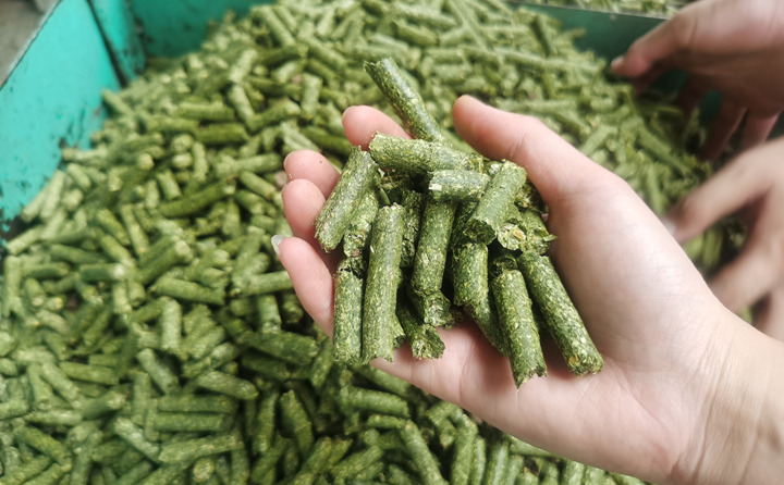 鋸末顆粒機顆粒燃料 鋸末顆粒機顆粒燃料