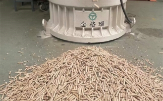木屑顆粒機(jī)加工環(huán)保燃料顆粒，用綠色昭示未來(lái)